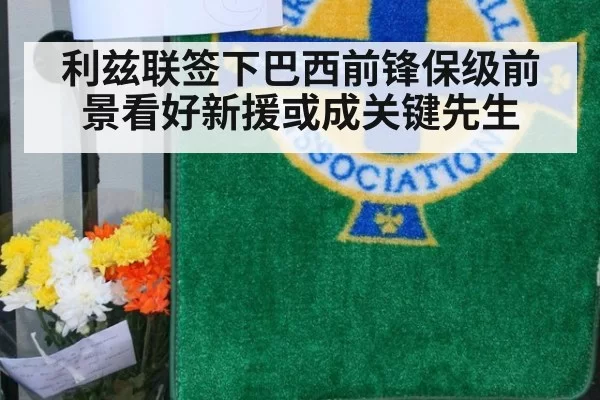利兹联签下巴西前锋保级前景看好新援或成关键先生